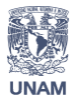 escudo UNAM